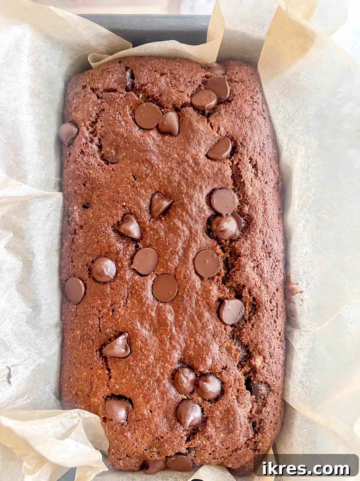 Decadent Espresso Chocolate Chip Banana Bread Paleo Gluten Free Dairy Free 10 Freshly baked espresso banana bread, golden brown and perfectly risen, cooling in the loaf tin.