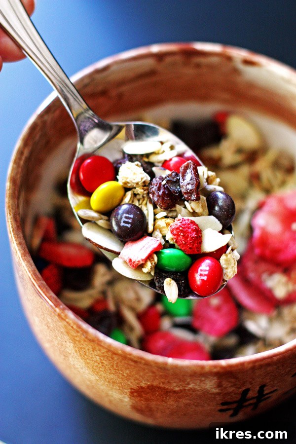 A bowl of vibrant Homemade Trail Mix, ready for snacking.