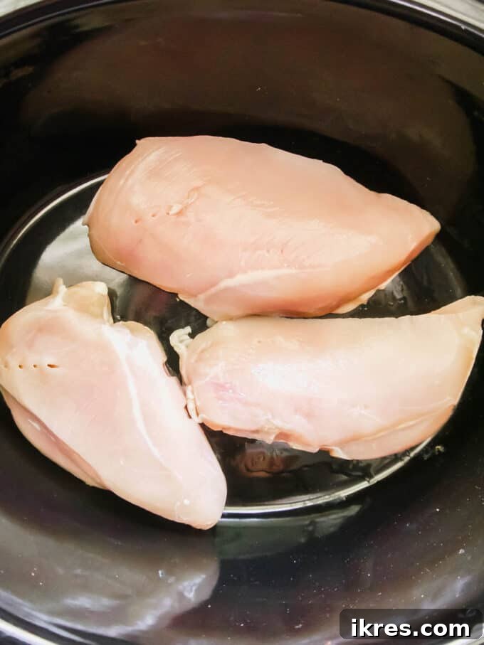 Comforting Slow Cooker Chicken Pot Pie Soup Whole30 Paleo Dairy Free 3 Raw boneless, skinless chicken breasts nestled at the bottom of a slow cooker.