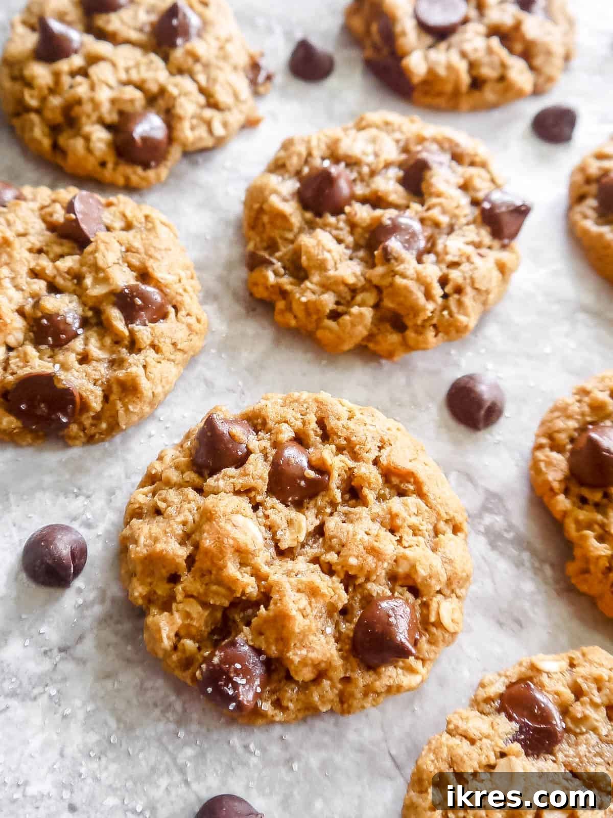 Wholesome Gluten Free Dairy Free Almond Oatmeal Treats 2 Golden brown Almond Oatmeal Cookies arranged artfully on a table, with sprinkles of sea salt and chocolate chips around.