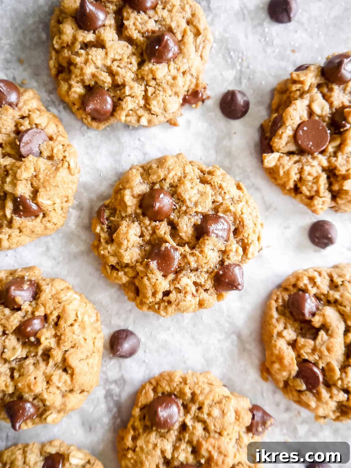 Wholesome Gluten Free Dairy Free Almond Oatmeal Treats 3 An aerial view showcasing a batch of freshly baked almond butter oatmeal cookies.