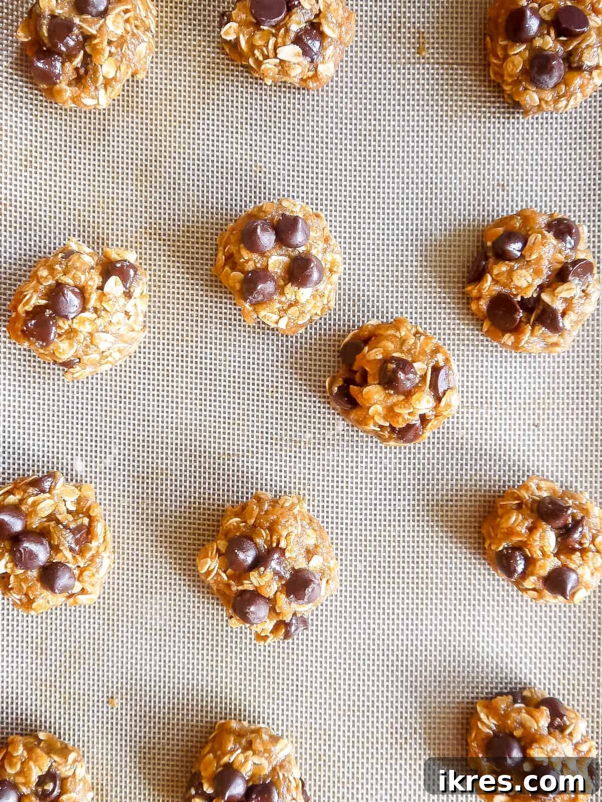 Wholesome Gluten Free Dairy Free Almond Oatmeal Treats 9 Scooped almond oatmeal cookie dough rolled into balls and placed on a baking sheet lined with parchment paper.