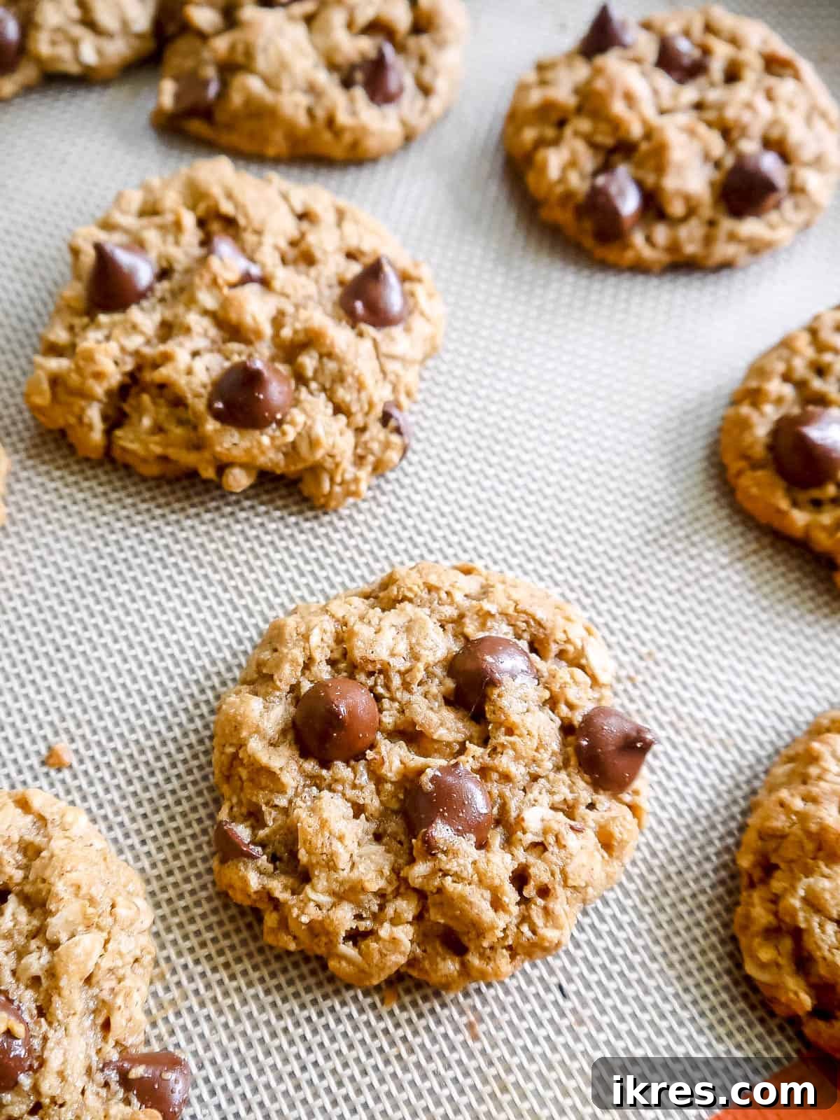 Wholesome Gluten Free Dairy Free Almond Oatmeal Treats 10 Freshly baked almond flour oatmeal cookies, golden brown and warm, resting on a cookie sheet straight from the oven.