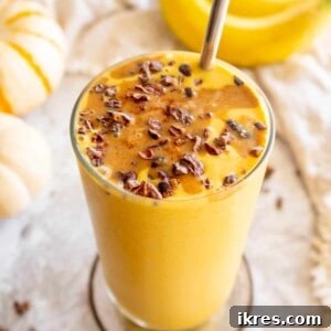 Pumpkin Banana Smoothie | Perchance to Cook