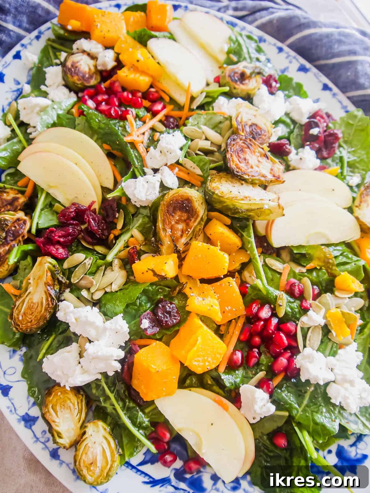 A vibrant Fall Harvest Salad neatly plated, garnished with extra seeds and ready to be served and enjoyed.