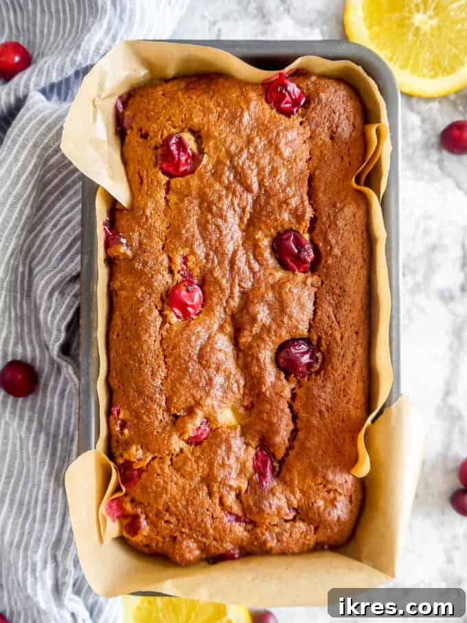 Wholesome Cranberry Orange Banana Loaf Dairy Free Gluten Free 4 Fresh Ingredients for Healthy Cranberry Orange Banana Bread
