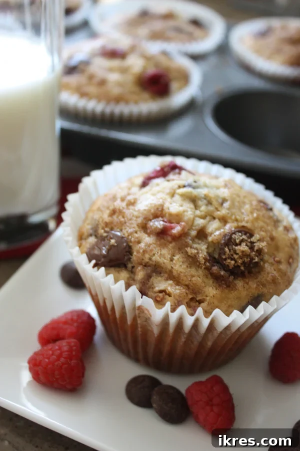 Close-up of a freshly baked Dark Chocolate Chip Raspberry Banana Jumbo Muffin, showcasing its golden-brown top, visible chocolate chips, and raspberries.