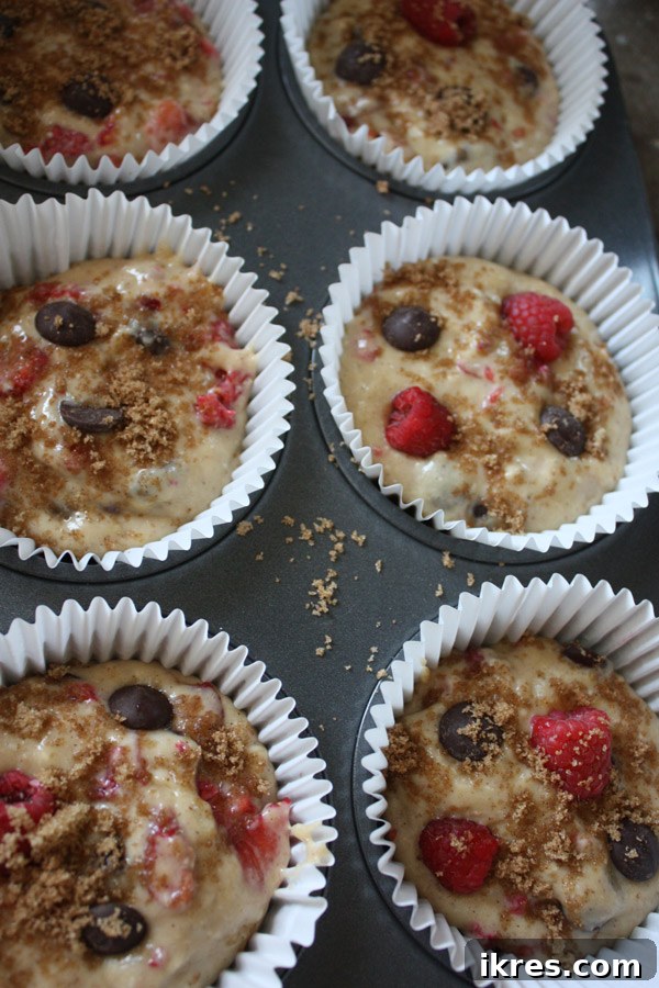 Muffin batter with chocolate chips and raspberries, ready to be scooped into muffin cups.