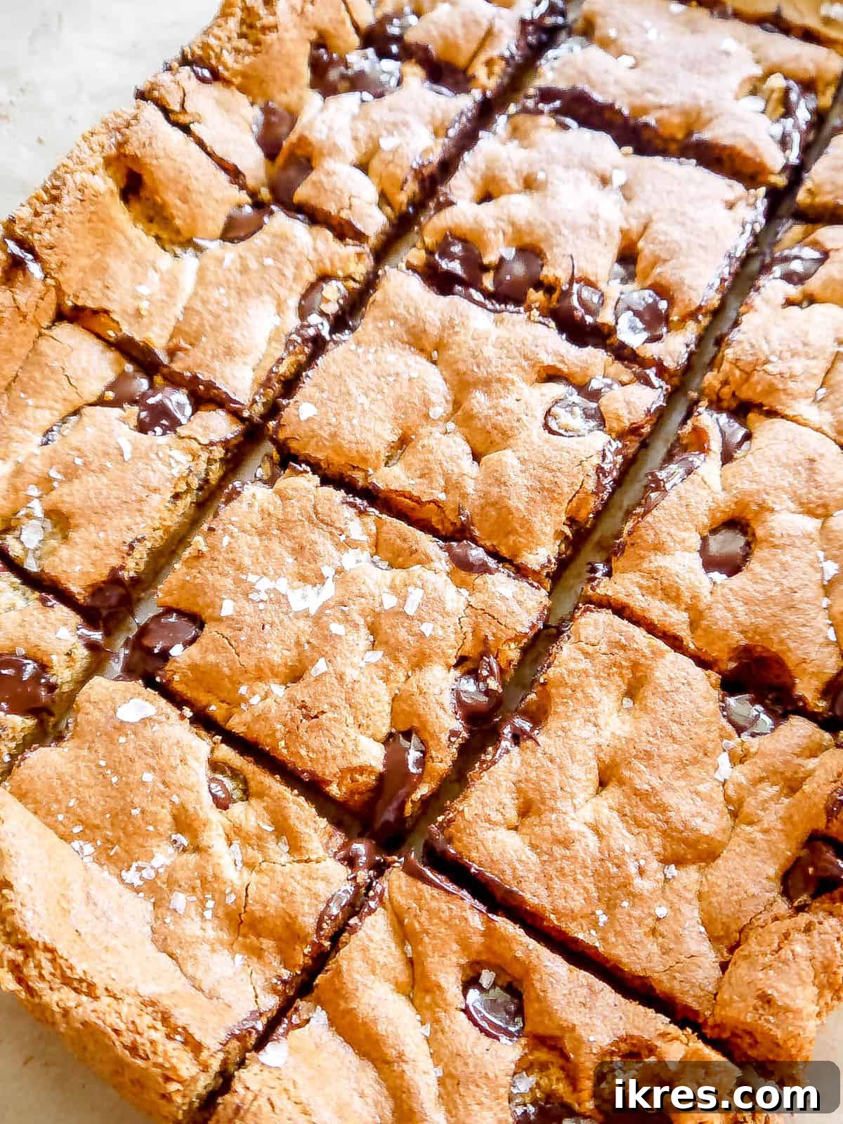 Golden Yolk Almond Chocolate Bars 10 Perfectly sliced almond flour cookie bars, ready to be served.