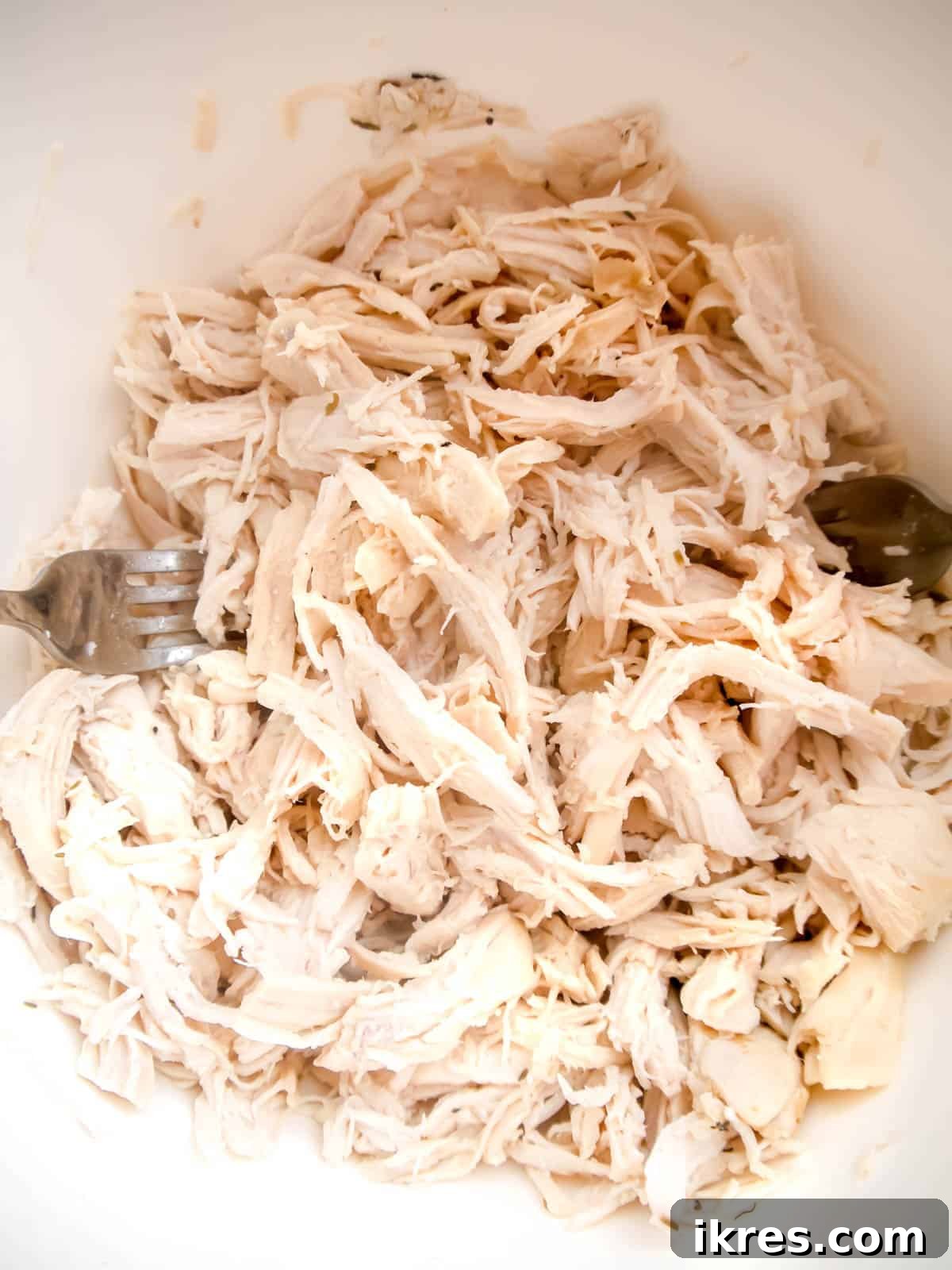 Shredded chicken in a bowl.