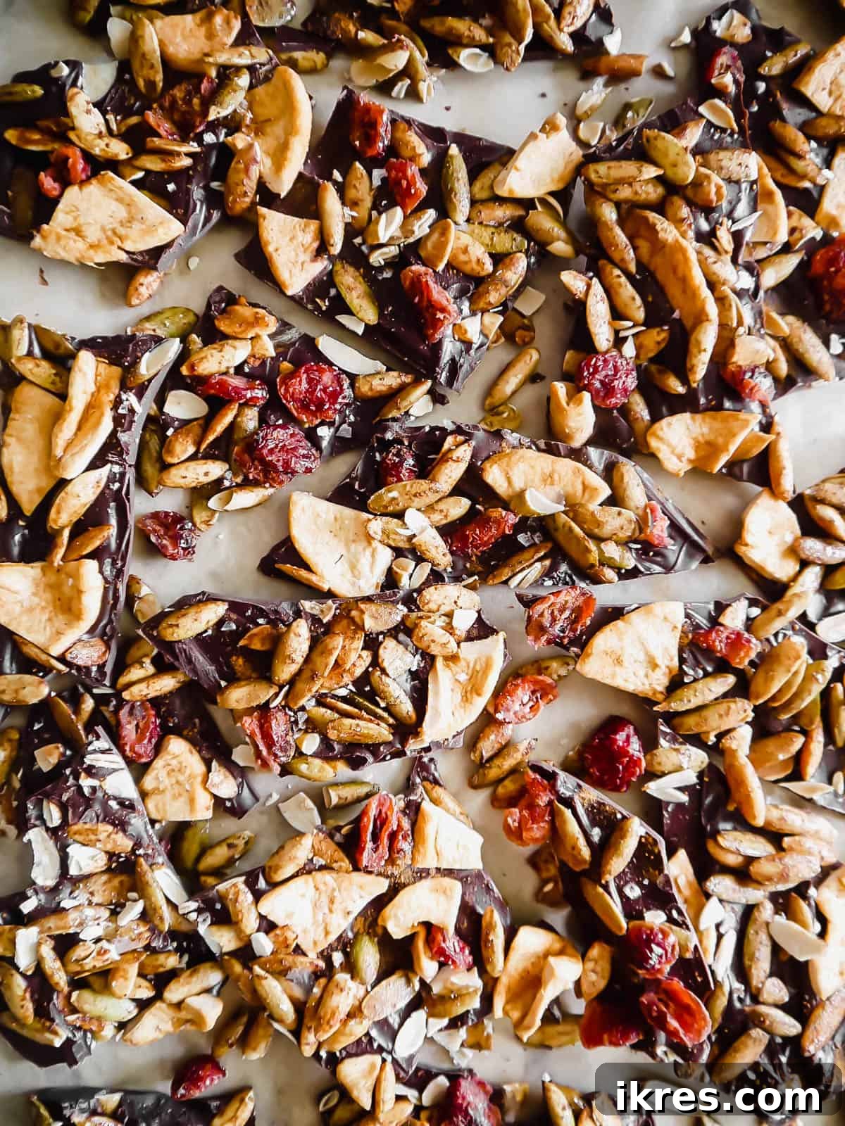 Autumn Orchard Chocolate Bark with Pepita Crunch 3 Broken up pieces of Fall chocolate bark recipe, showing the different textures and colors of the toppings.