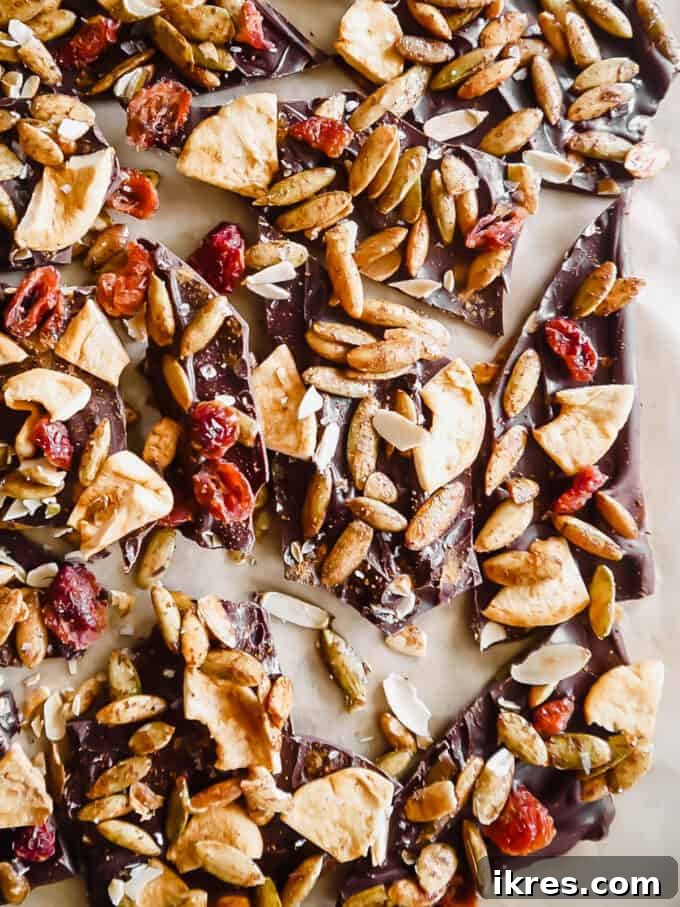 Autumn Orchard Chocolate Bark with Pepita Crunch 8 Neatly cut pieces of Fall chocolate bark dessert, showcasing the layers of chocolate and toppings.