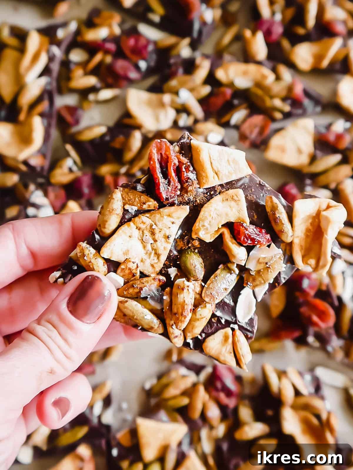 Autumn Orchard Chocolate Bark with Pepita Crunch 9 A hand holding a piece of festive Fall chocolate bark, perfect for the holiday season.