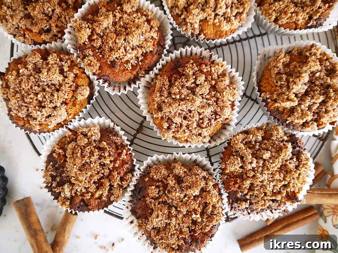Gluten-Free Cinnamon Swirl Coffee Cake Muffins 3 Close-up of a perfectly baked gluten-free coffee cake muffin showing its moist crumb and distinct layers of filling and topping