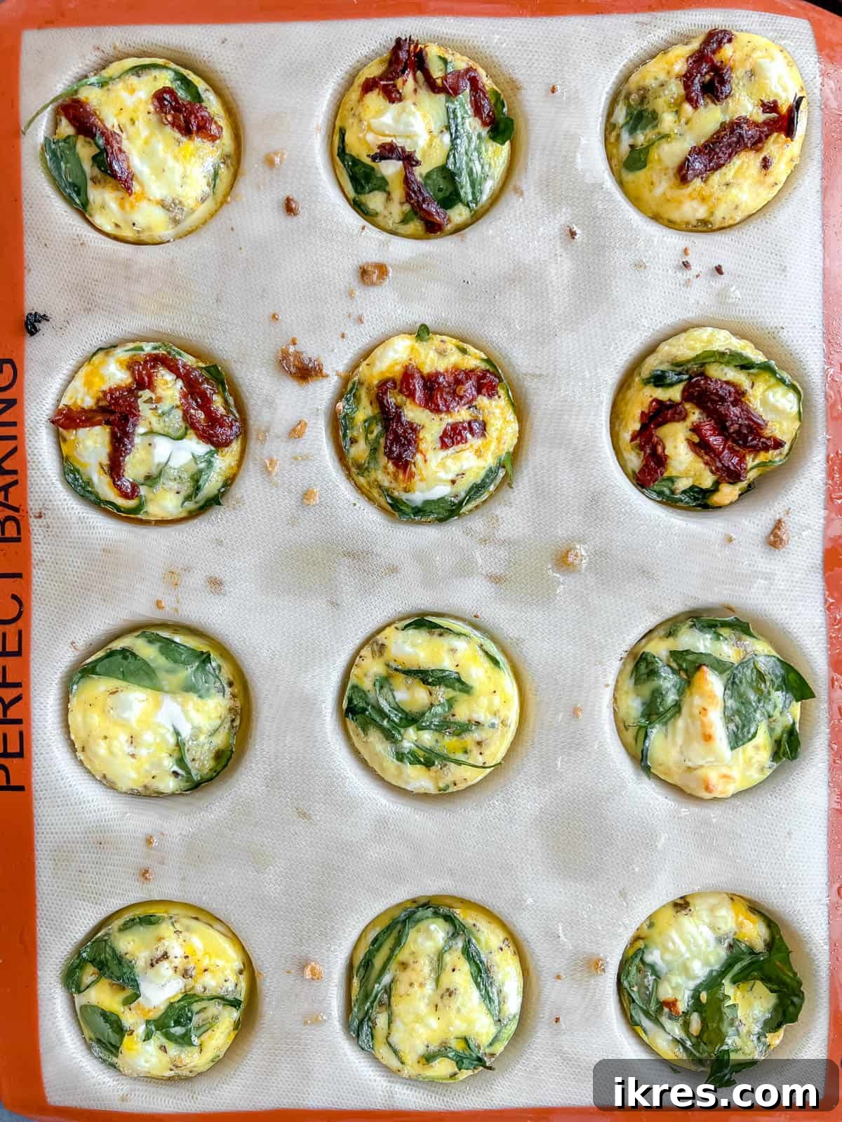 Mediterranean Spinach Feta Egg Muffins 9 Baked spinach feta egg bites, golden brown and puffed up, cooling in a muffin tin.