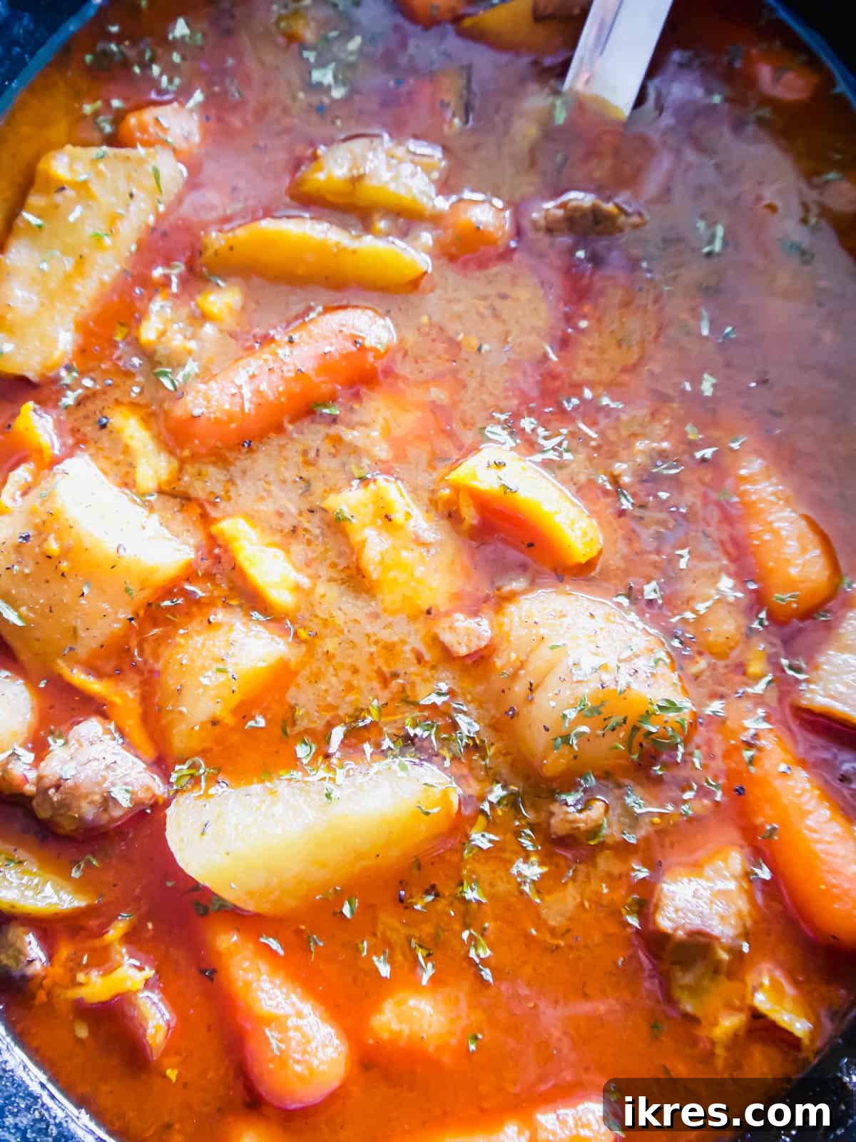 Cooked Paleo beef stew, tender and rich, served directly from the slow cooker.