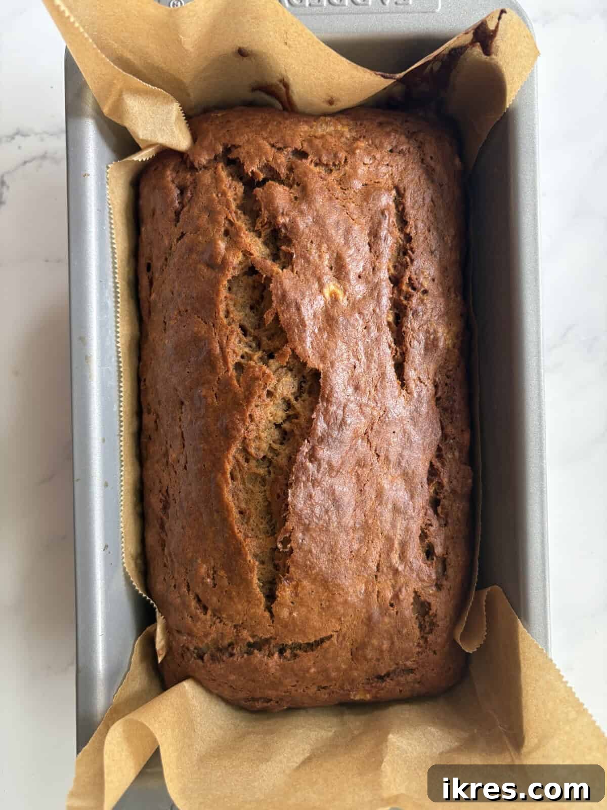 Golden Olive Oil Banana Bread 8 Freshly baked olive oil banana bread, golden brown and perfectly risen, cooling on a wire rack.