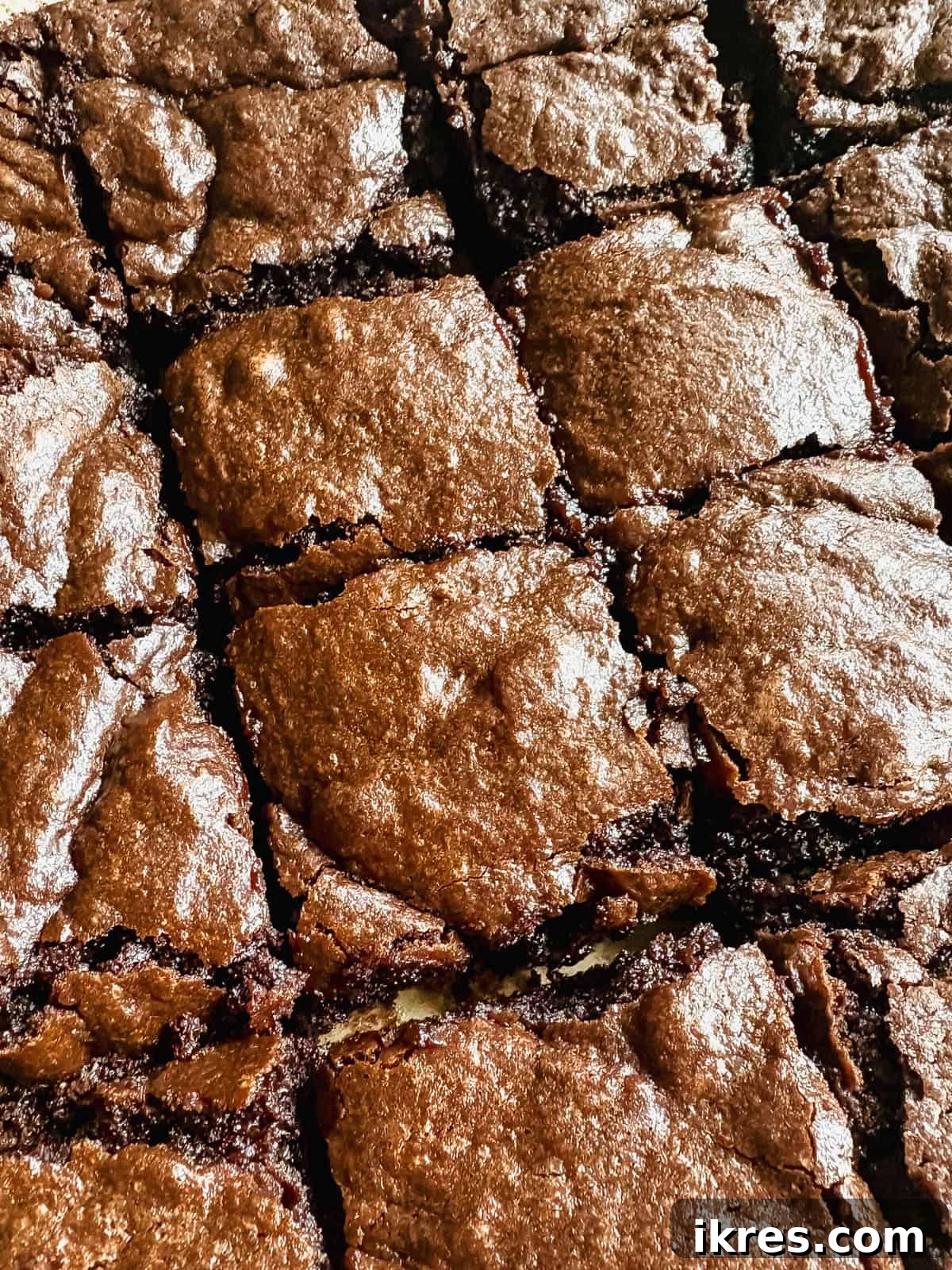 Liquid Gold Brownies 2 Freshly cut olive oil brownies, showcasing their rich, fudgy texture.