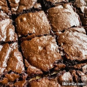 Olive oil brownies freshly cut after baking.