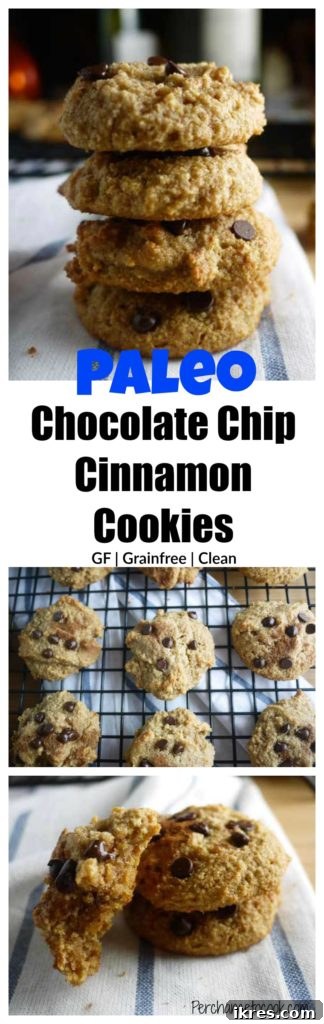 Vertical shot of several Chocolate Chip Cinnamon Cookies arranged artistically.