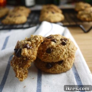 Hero image of Chocolate Chip Cinnamon Cookies