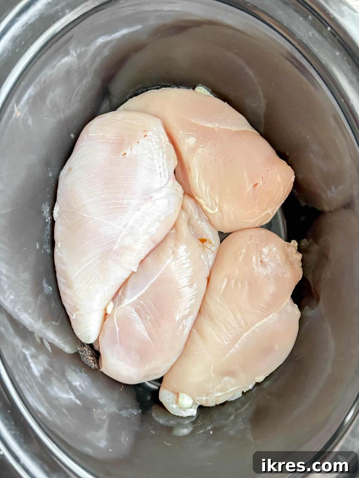 Raw chicken breast laid flat at the bottom of a slow cooker pot.