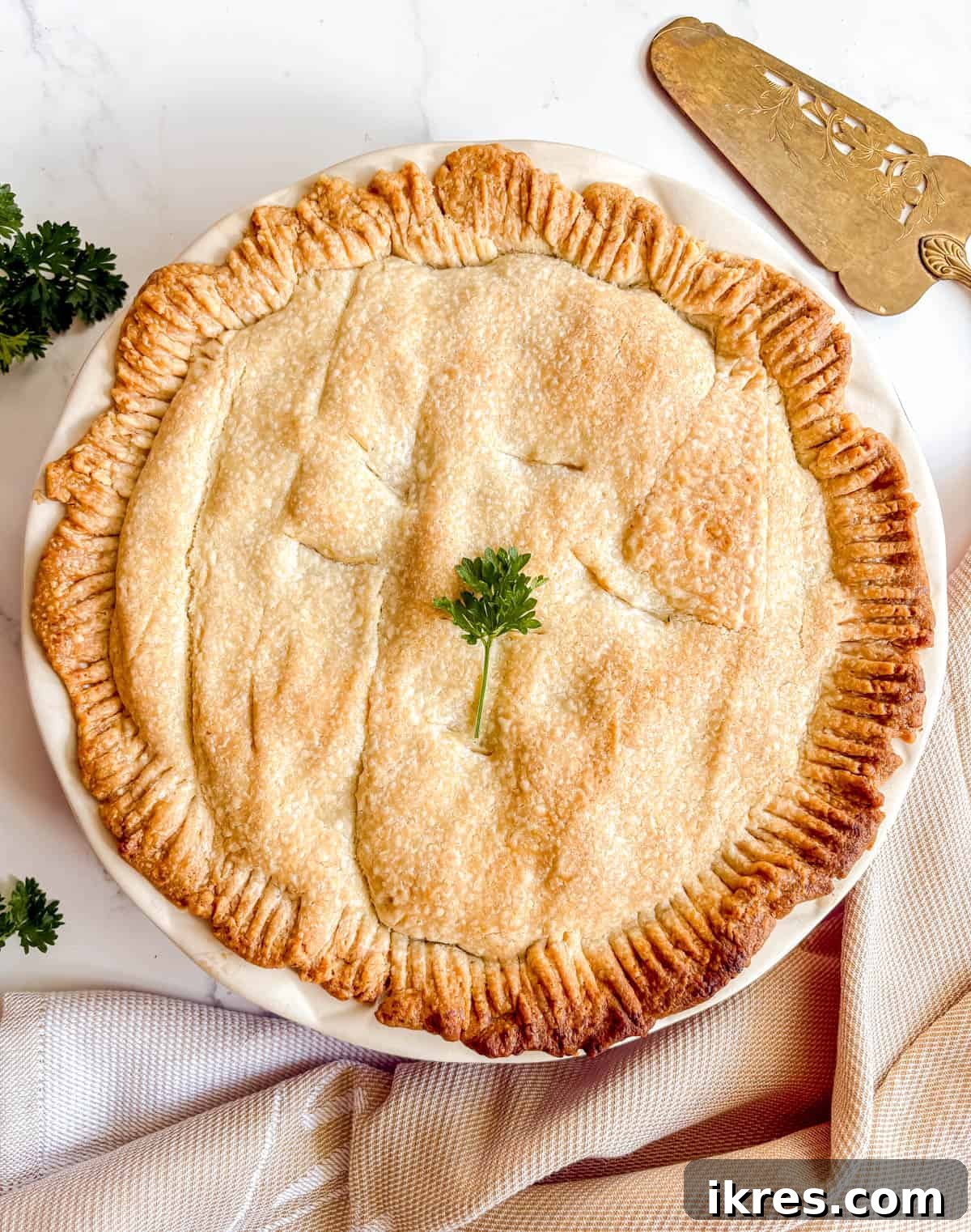 The golden-brown, baked chicken pot pie, fresh out of the oven.