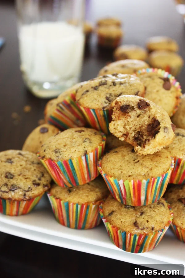 Delightful mini chocolate chip muffins ready for breakfast