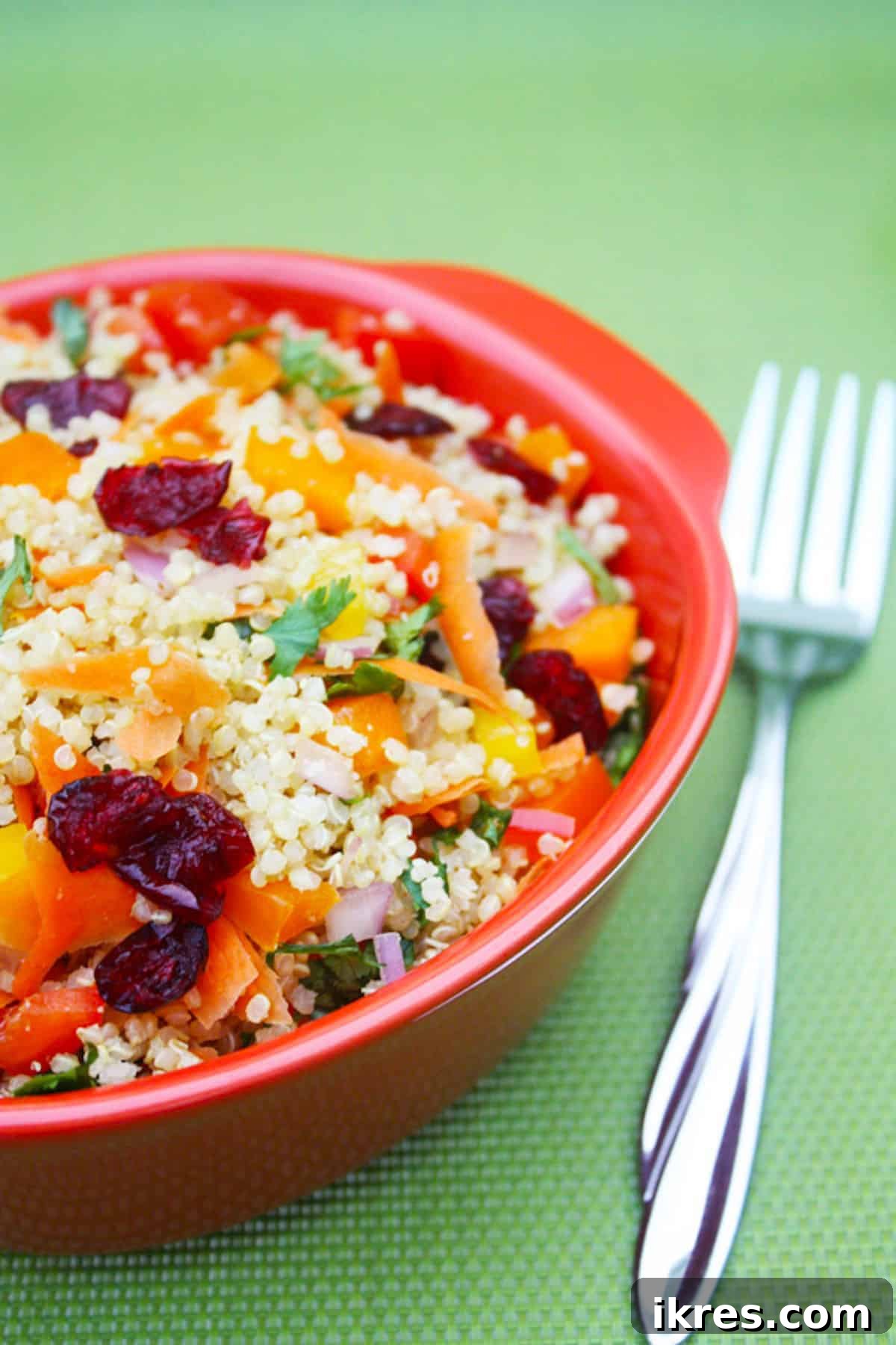Vibrant vegetable quinoa salad with carrots and dried cranberries, served beautifully on a red plate.