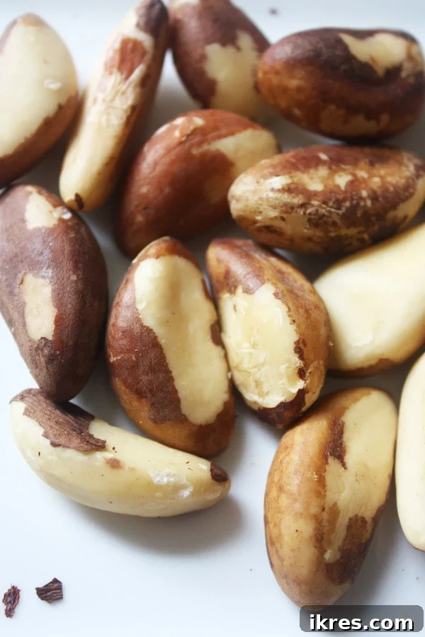 A close-up image of a single Brazil nut, highlighting its distinct texture and shape.