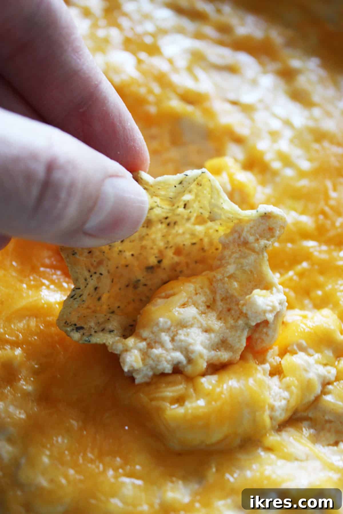 A corn chip scooping up cheesy buffalo chicken dip.
