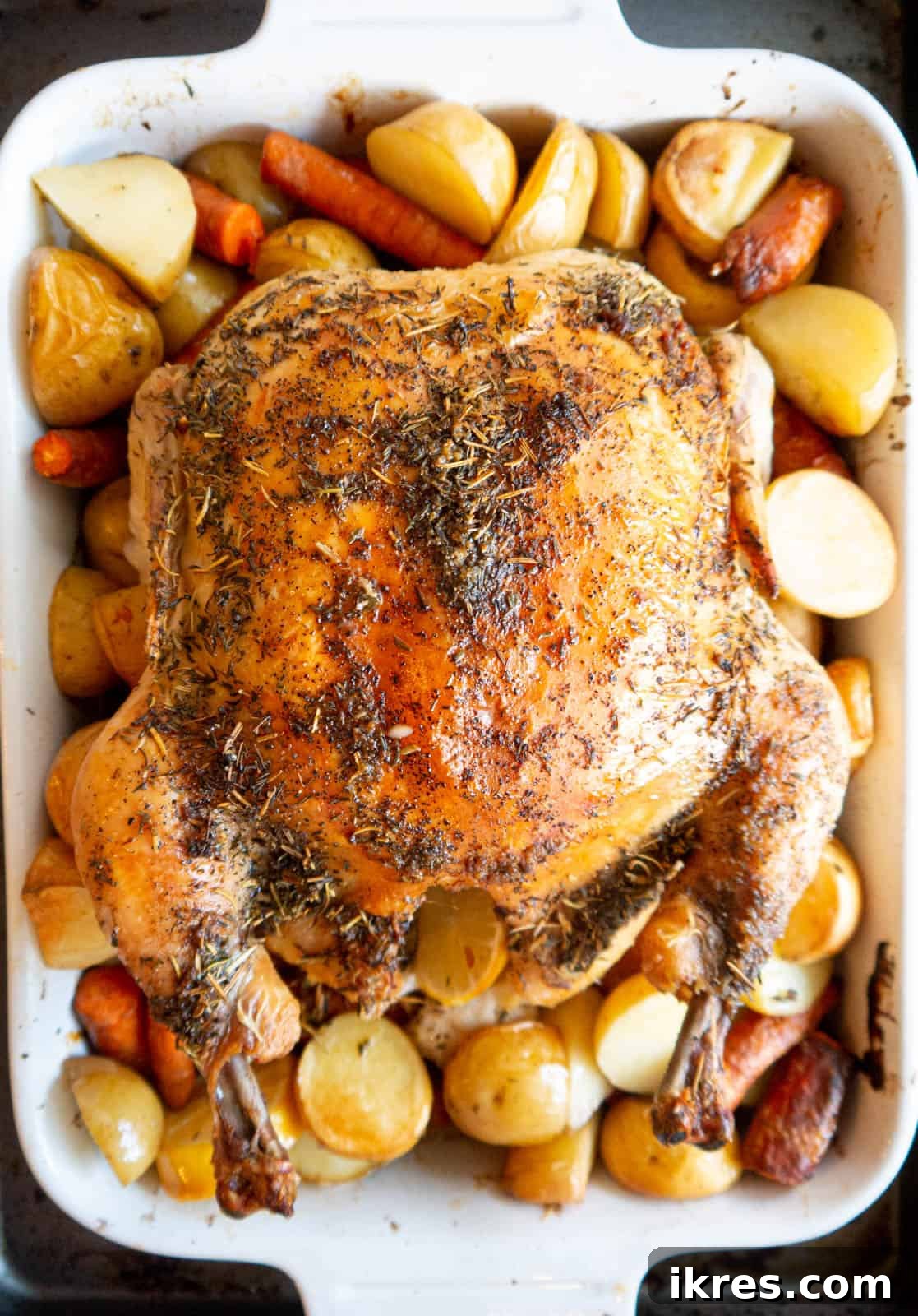 Golden brown lemon thyme roast chicken with tender root vegetables fresh from the oven, served in a pan.