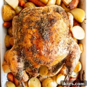 Lemon thyme roast chicken with root vegetables after cooking.