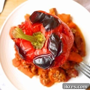 Healthy Roasted Turkey Stuffed Bell Peppers (Paleo & Gluten-Free) 3 Clean Ground Turkey Roasted Stuffed Peppers | a healthy paleo and gluten-free dinner