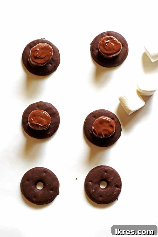 Pilgrim Hat Thanksgiving Treats 6 A tray full of assembled Pilgrim Hat Cookies, with chocolate-covered marshmallows sitting atop the cookies, chilling to set.