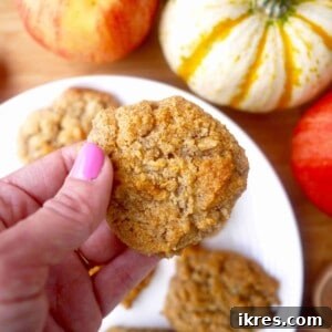 Paleo Apple Cookies (GF, Grain-Free) recipe thumbnail image.
