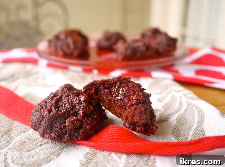 Rich Fudgy Paleo Brownies (Gluten-Free, Grain-Free)