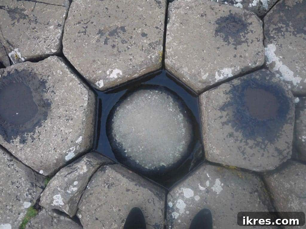 The stunning hexagonal basalt columns of the Giant's Causeway in Northern Ireland, a natural wonder. Photo by Perchance to Cook.