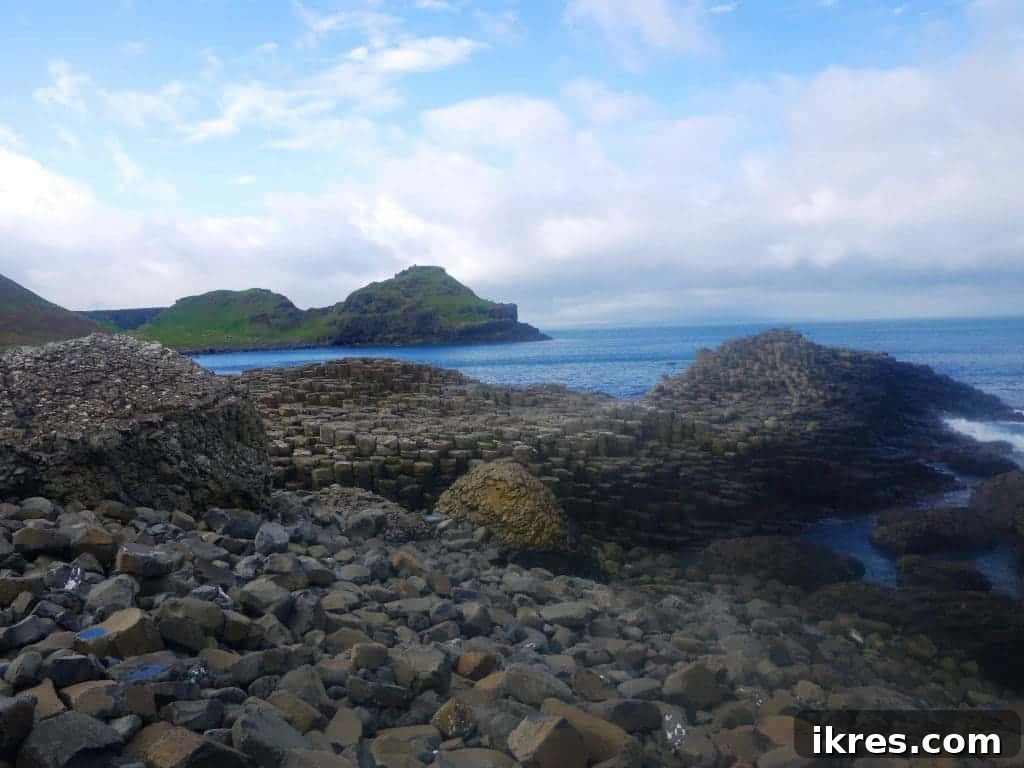 Detailed view of the interlocking basalt columns at the Giant's Causeway. Photo by Perchance to Cook.