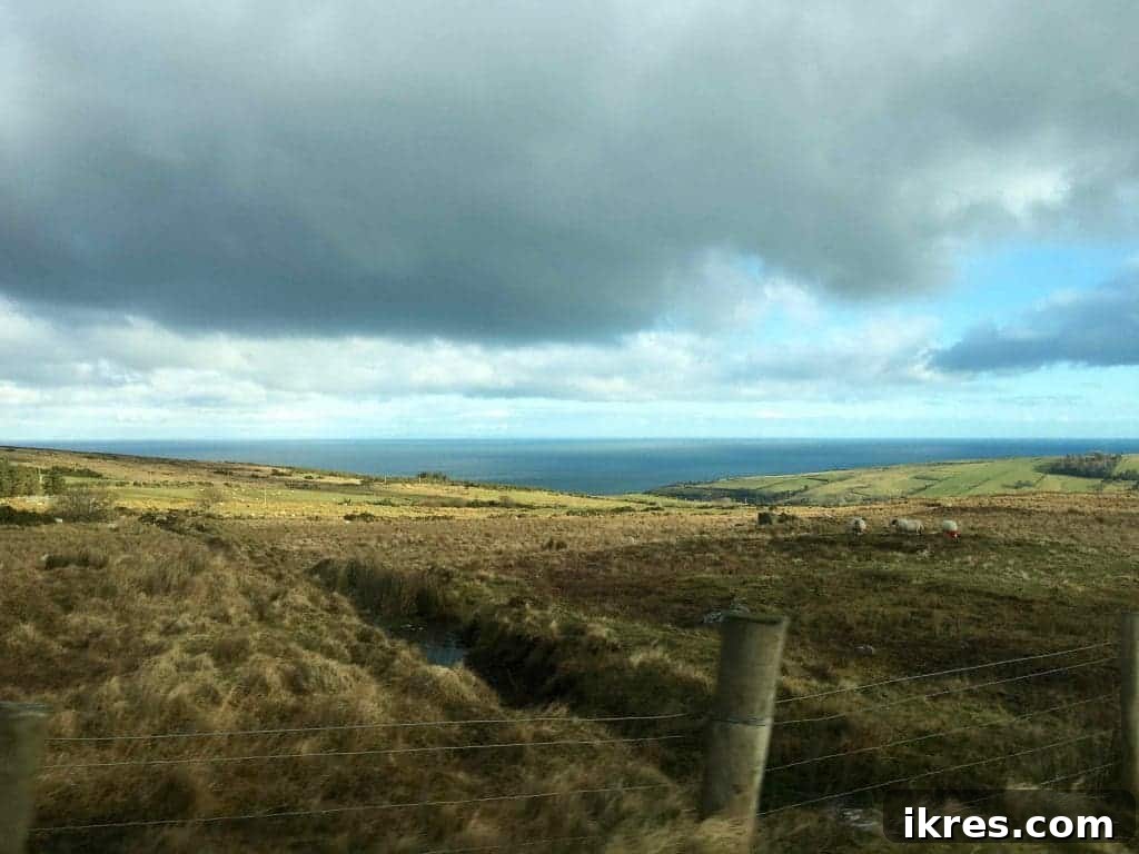 A picturesque coastal road in Northern Ireland, winding through charming landscapes. Photo by Perchance to Cook.