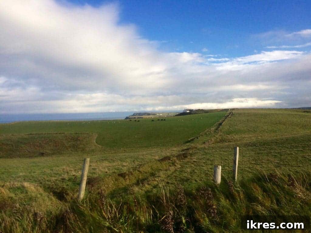 Scenic drive along the Antrim Coast, Northern Ireland, offering panoramic views. Photo by Perchance to Cook.