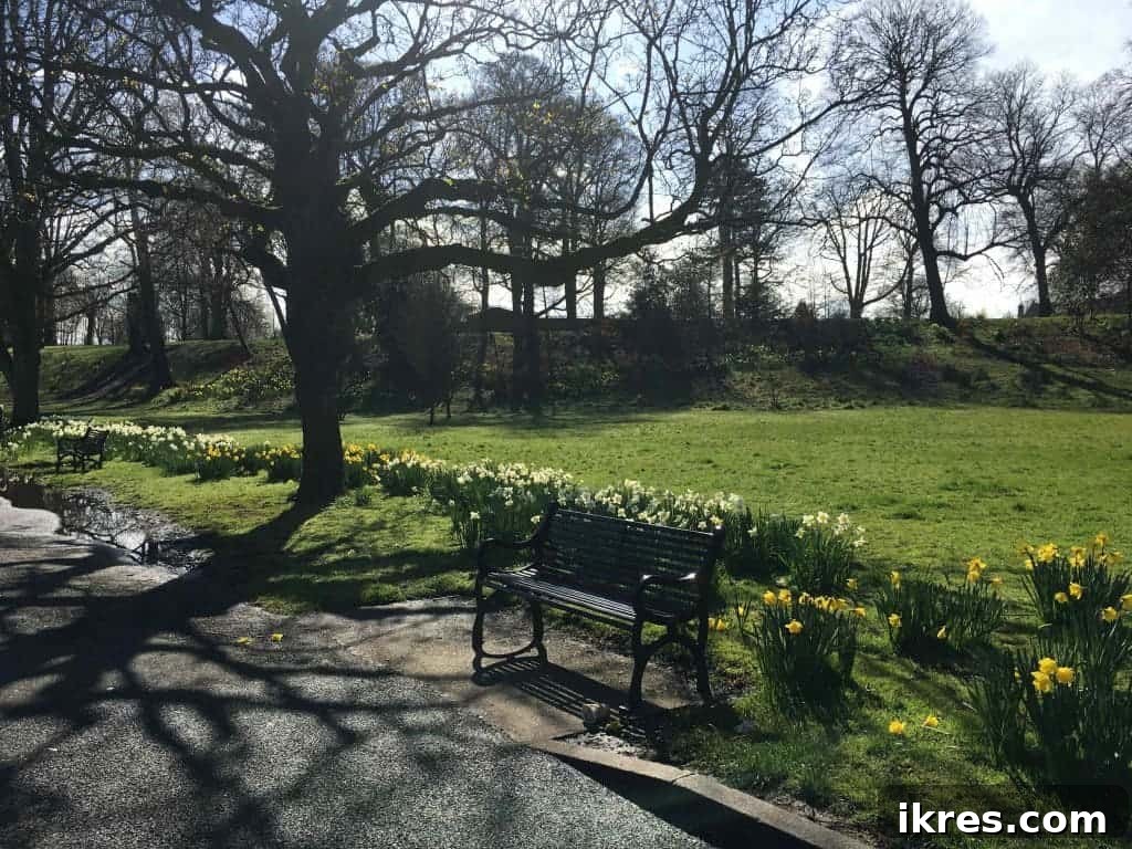 A cheerful array of spring flowers, including tulips and daffodils, in Ormeau Park.