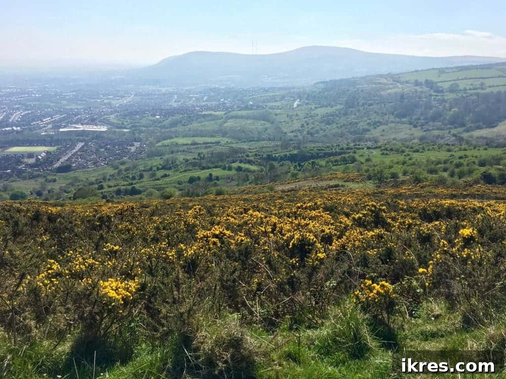 Panoramic view from Cave Hill, showcasing the stunning natural landscape of Northern Ireland.