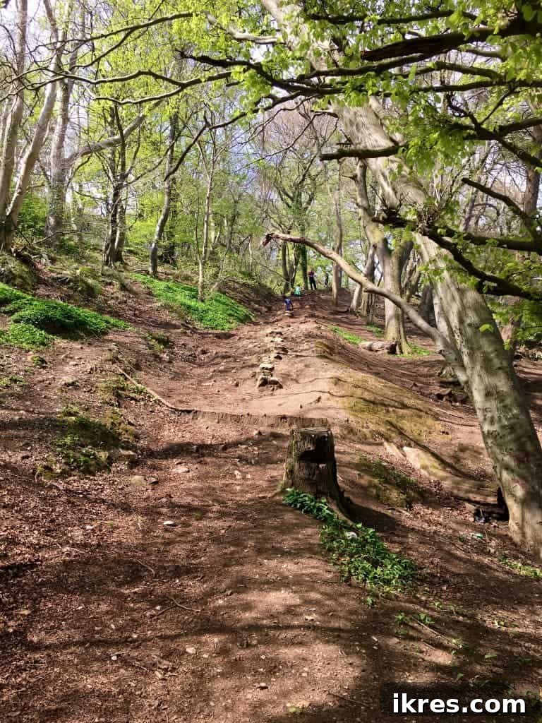 A steep, winding path through the scenic landscape of Cave Hill, challenging but rewarding.