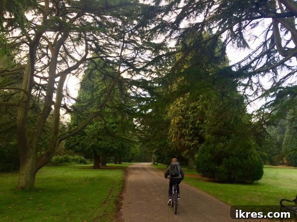 Ormeau Park in autumn, showcasing a serene path lined with trees in golden and red foliage.