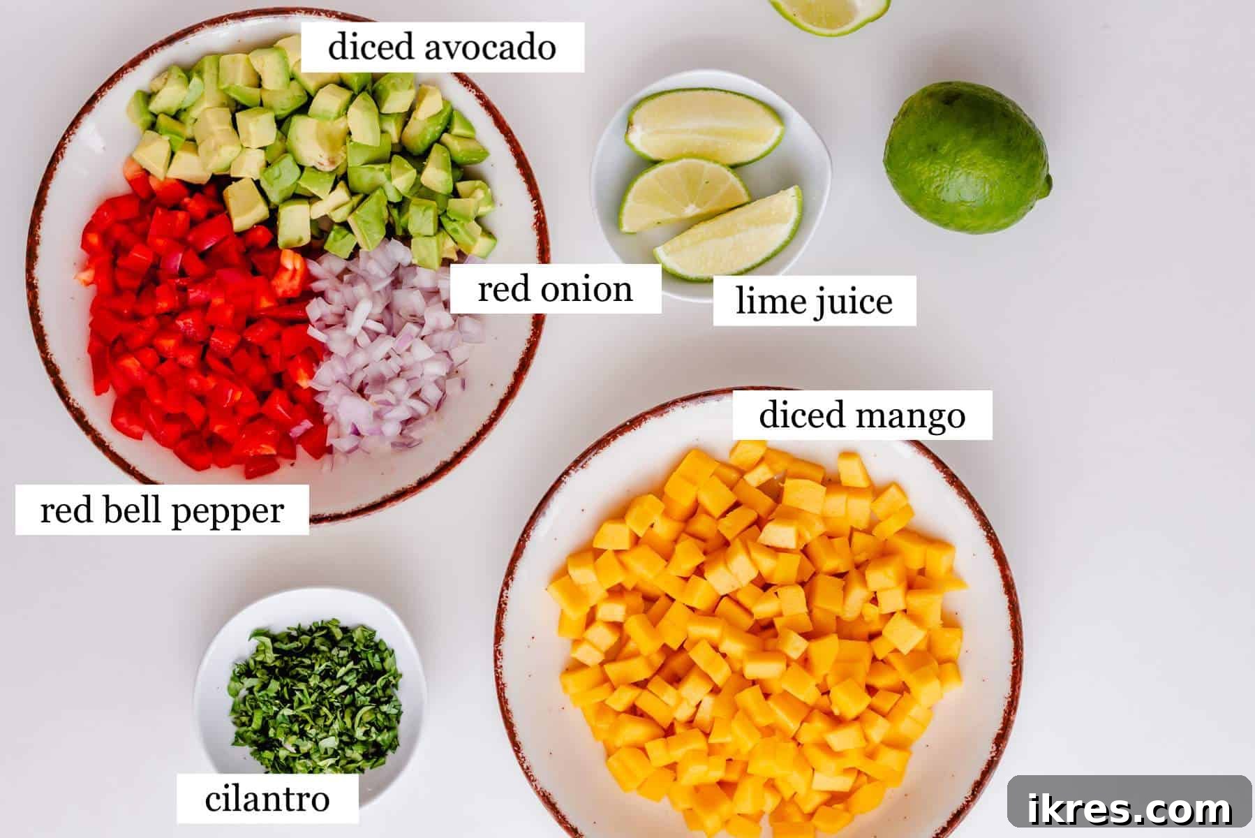 Tropical Mango Avocado Salsa 3 A beautifully arranged selection of fresh mango, avocado, red bell pepper, red onion, cilantro, and lime, ready for mango avocado salsa preparation.