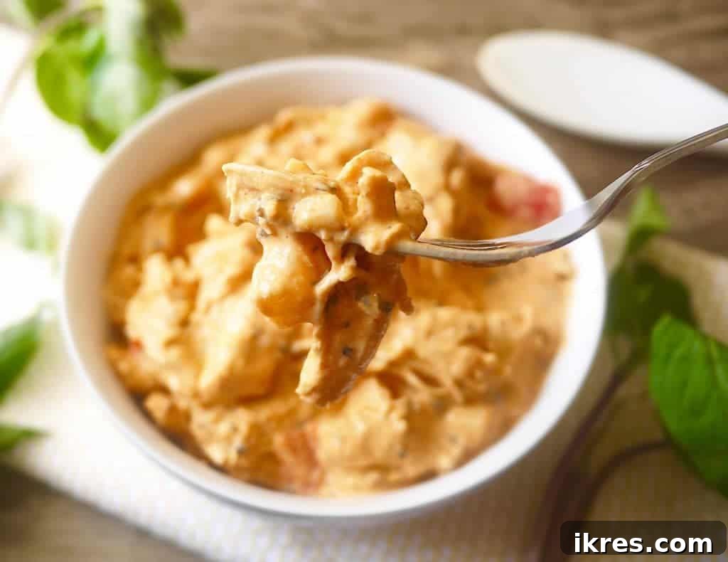 Close-up of tender, shredded Red Coconut Curry Pulled Chicken in a slow cooker.