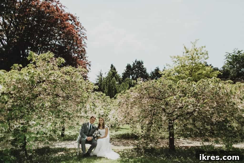 Southeast Ireland's Treasures: Kilkenny, Cashel, Durrow, and Wedding Memories 2 Castle Durrow wedding venue in the heart of Ireland