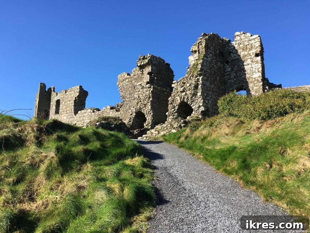 Southeast Ireland's Treasures: Kilkenny, Cashel, Durrow, and Wedding Memories 18 Panoramic view of the Rock of Dunamase ruins against rolling green hills