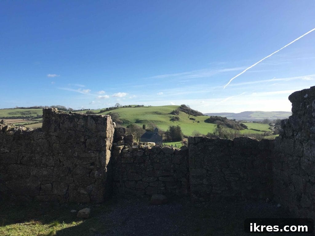 Southeast Ireland's Treasures: Kilkenny, Cashel, Durrow, and Wedding Memories 19 Ancient stone archway at the Rock of Dunamase, framed by lush greenery